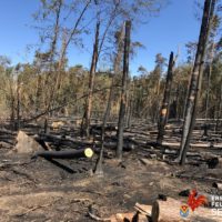 Logistische Unterstützung bei Groß-Waldbrand in Münster und andere Einsätze