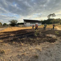 Flächenbrand