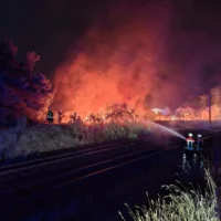 Vegetationsbrand
