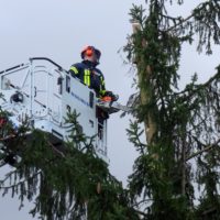 Sturm- und Orkantief „Sabine“ hält auch Feuerwehr Seeheim auf Trab