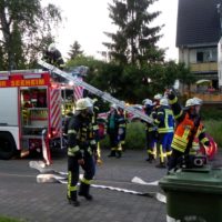 Einsatzgeschehen vom 28. Mai bis 6. Juni 2018 – Mehrere Fehlalarme –
