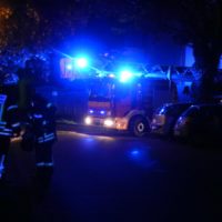 Ölspur, Bäume und Fehlalarm