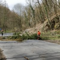 Vier Einsätze an zwei Tagen